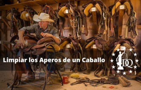 Cómo Limpiar los Aperos de un Caballo