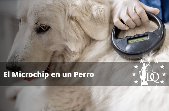 Cuál es la Función del Microchip en los Perros