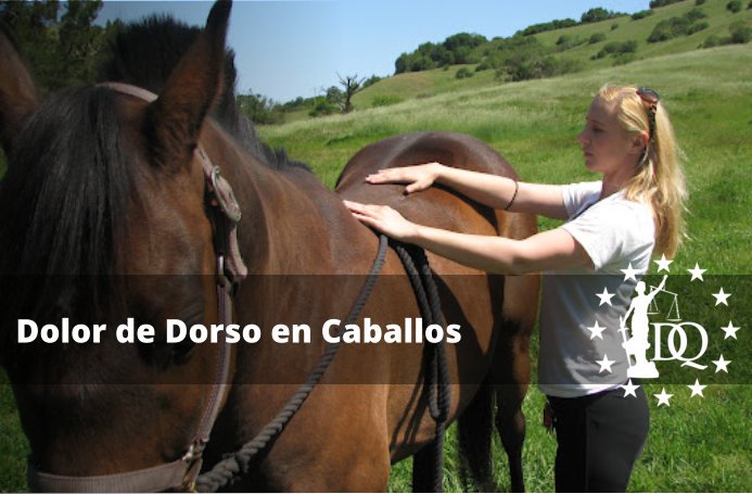 Dolor de Dorso en Caballos