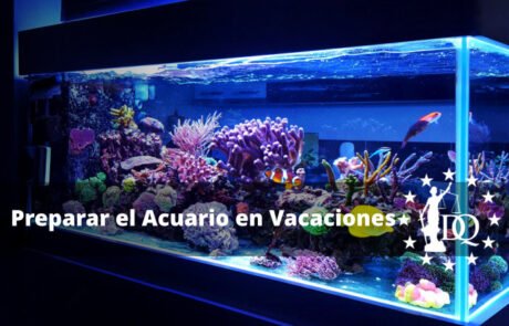 ¿Qué Hago con Mi Acuario si Me Voy de Vacaciones?