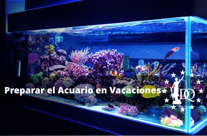 ¿Qué Hago con Mi Acuario si Me Voy de Vacaciones?