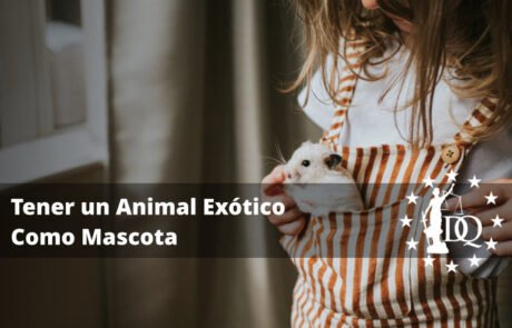 Qué se Necesita Saber para Tener un Animal Exótico Como Mascota