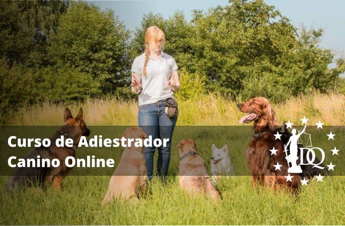 Curso Adiestrador Canino Online