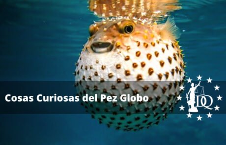 Cosas Curiosas del Pez Globo