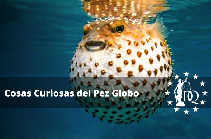 Cosas Curiosas del Pez Globo