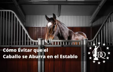 Cómo Evitar que el Caballo se Aburra en el Establo. Trucos y Consejos