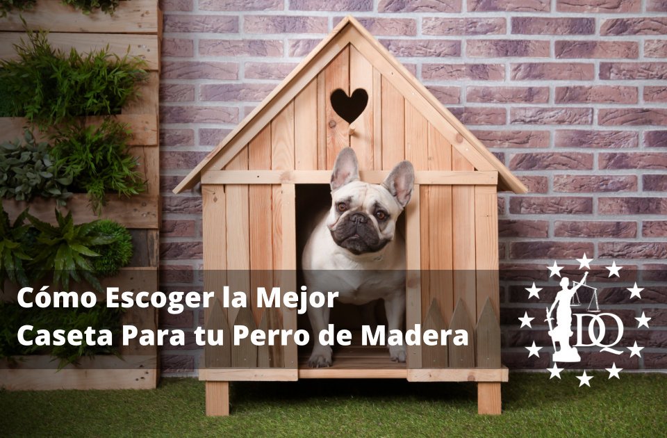 Cómo Escoger la Mejor Caseta Para tu Perro de Madera