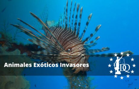 Animales Exóticos Invasores Qué Son Estas Especies