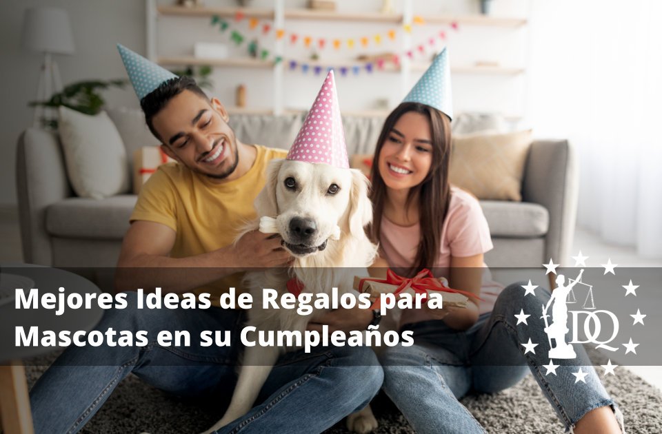 Mejores Ideas de Regalos para Mascotas en su Cumpleaños