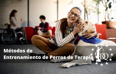 Métodos de Entrenamiento de Perros de Terapia