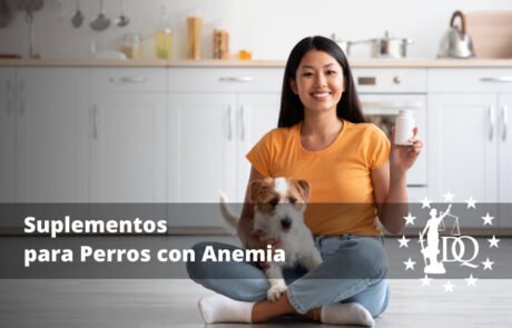 Suplementos para Perros con Anemia