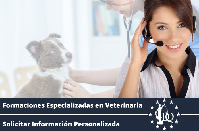Curso Auxiliar Veterinaria Online