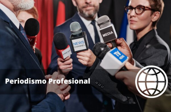 Periodismo Profesional