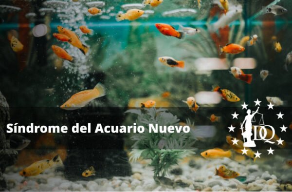 Qué es el Síndrome del Acuario Nuevo y Cómo Evitarlo