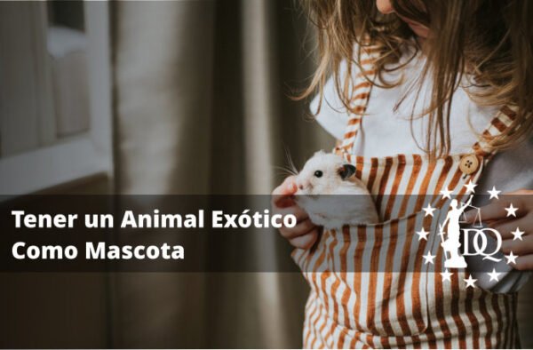 Qué se Necesita Saber para Tener un Animal Exótico Como Mascota