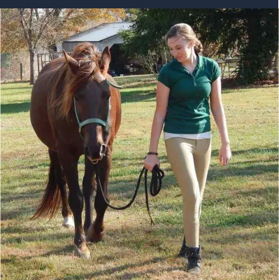 Curso Domador de Caballos - Entrenadora Equina