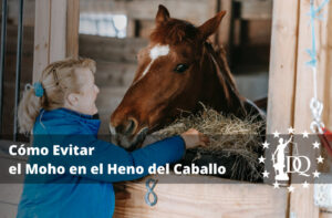 Cómo Evitar el Moho en el Heno del Caballo