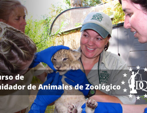 Curso Cuidador de Animales de Zoológico
