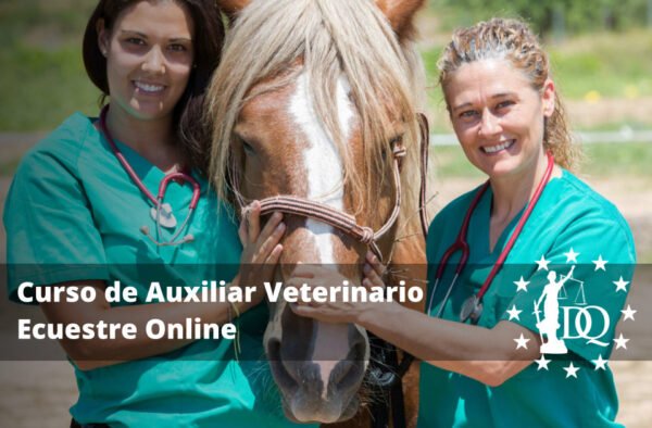 Curso de Auxiliar Veterinario Ecuestre Online