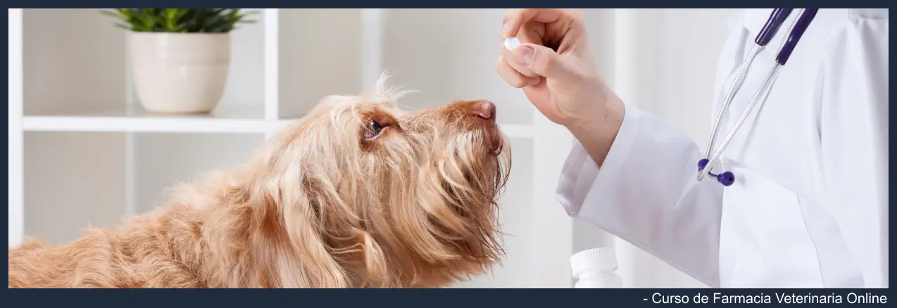 Curso de Farmacia Veterinaria Online - Farmacia Animal