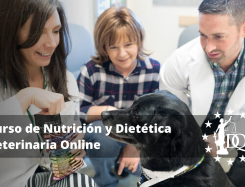 Curso de Nutrición y Dietética Veterinaria Online