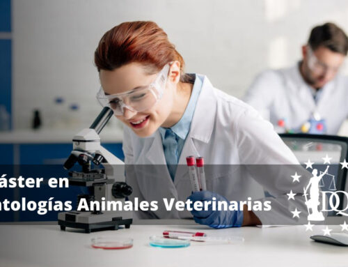 Máster en Patologías Animales Veterinarias