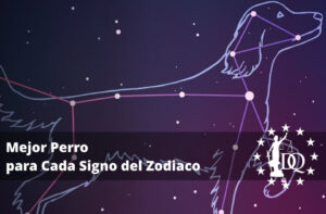 Mejor Perro para Cada Signo del Zodiaco