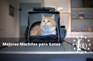 4 Mejores Mochilas para Gatos y Opiniones de Transporte
