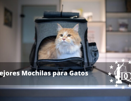 4 Mejores Mochilas para Gatos y Opiniones de Transporte