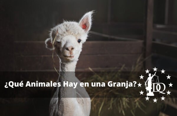 Qué Animales Hay en una Granja