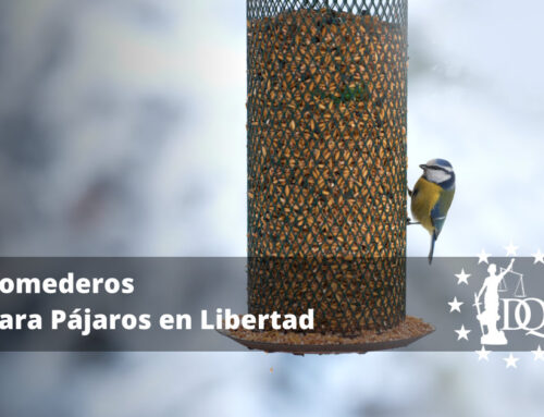 Comederos Para Pájaros en Libertad