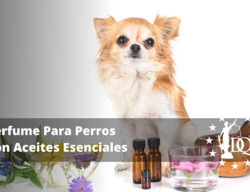 Perfume Para Perros Con Aceites Esenciales