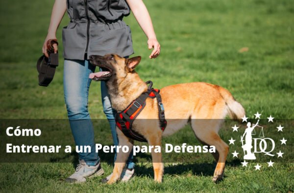 Cómo Entrenar a un Perro para Defensa