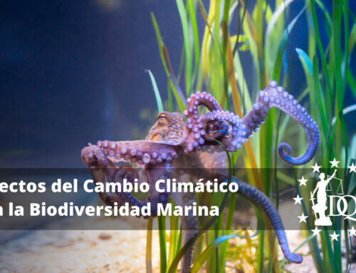 Efectos del Cambio Climático en la Biodiversidad Marina
