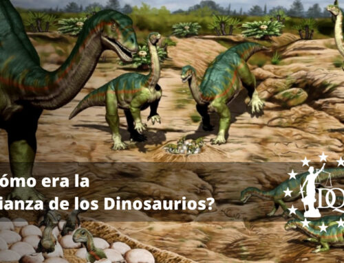 ¿Cómo era la Crianza de los Dinosaurios?