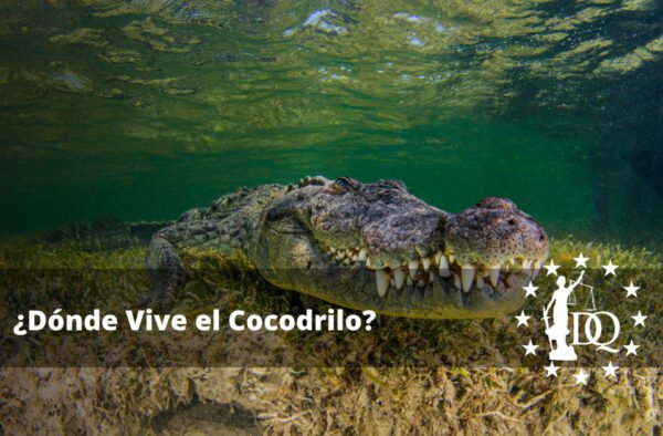 Dónde Vive el Cocodrilo