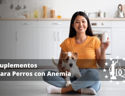 Suplementos para Perros con Anemia