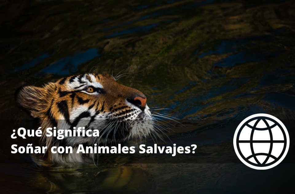 Qué Significa Soñar con Animales Salvajes