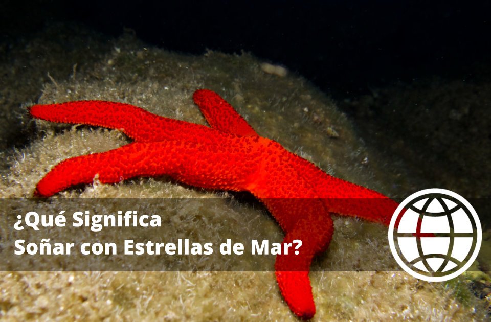 Qué Significa Soñar con Estrellas de Mar