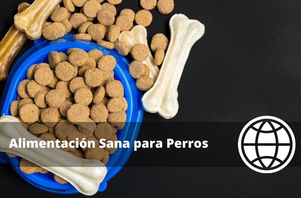 Alimentación Sana para Perros